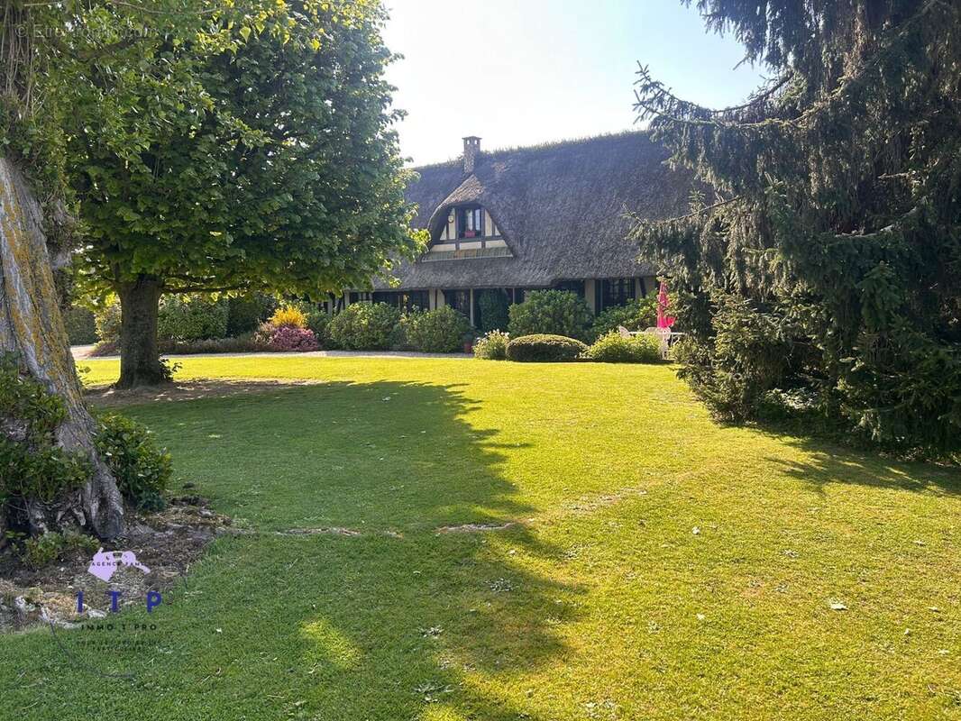 Jardin avant - Maison à SAINT-OUEN-DU-TILLEUL