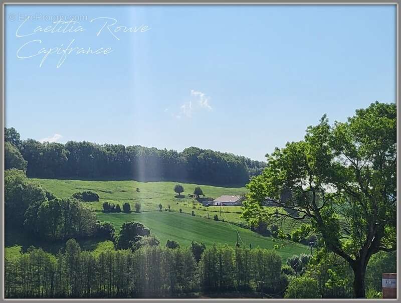 Terrain agricole sur 6 hectares, bois, source, compteur d'eau, clos, abri animaux, chevaux - photo 11