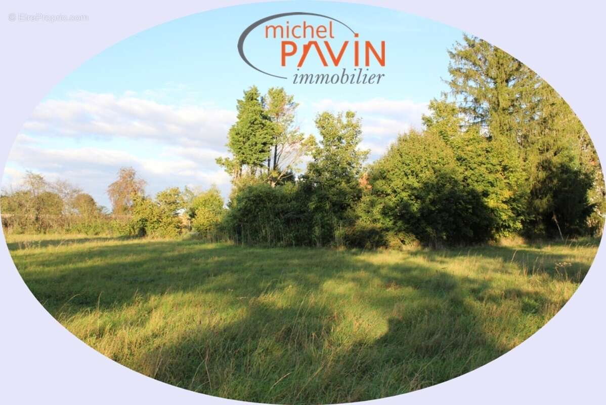 Terrain à VEREAUX