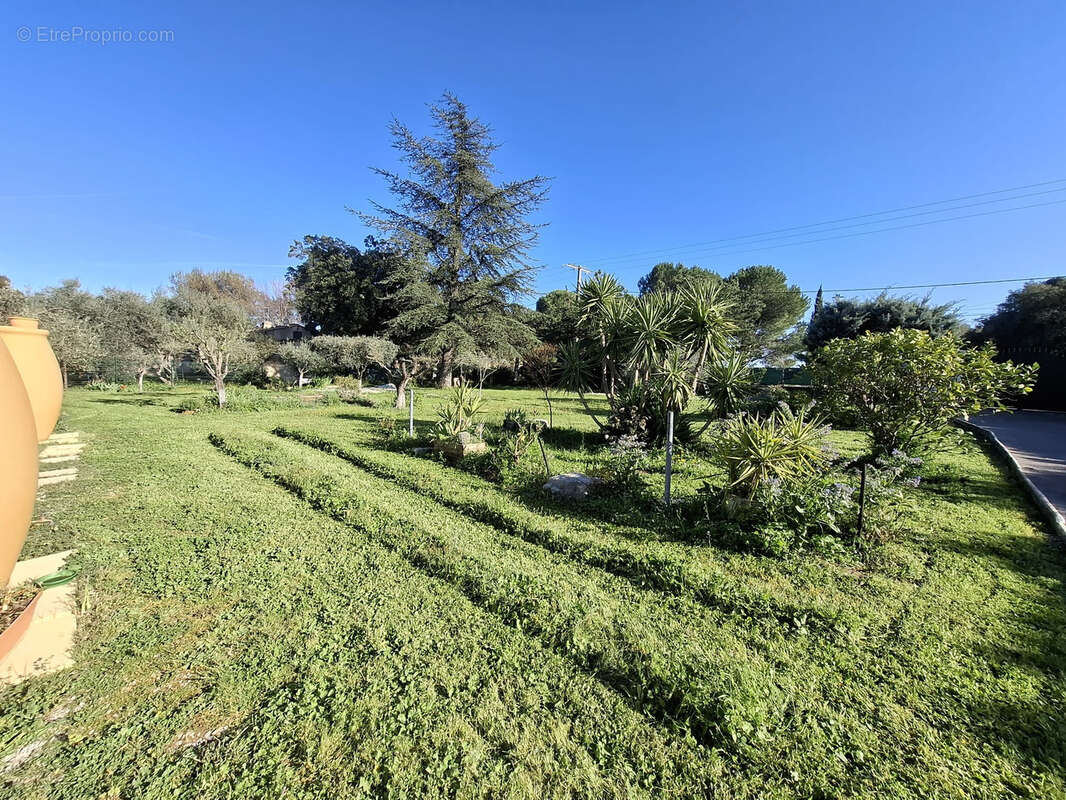 Maison à PEYMEINADE