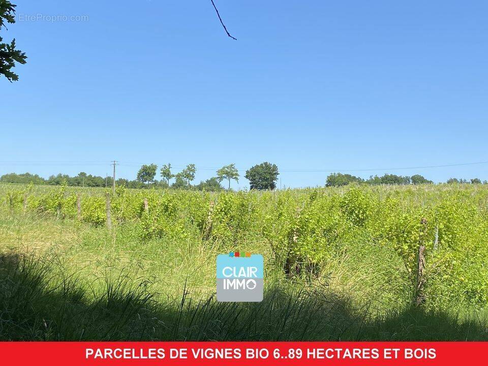 Terrain à Cazaubon  - photo 5