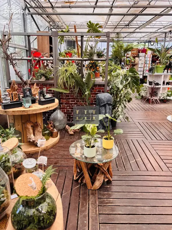 Fonds de commerce fleuriste & jardinerie 1400m2 - photo 6