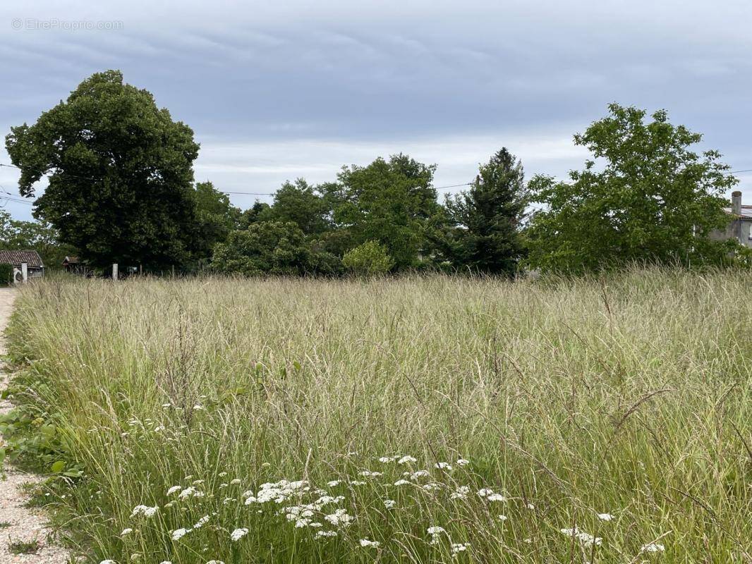 Terrain à CASTELNAU-DE-MEDOC