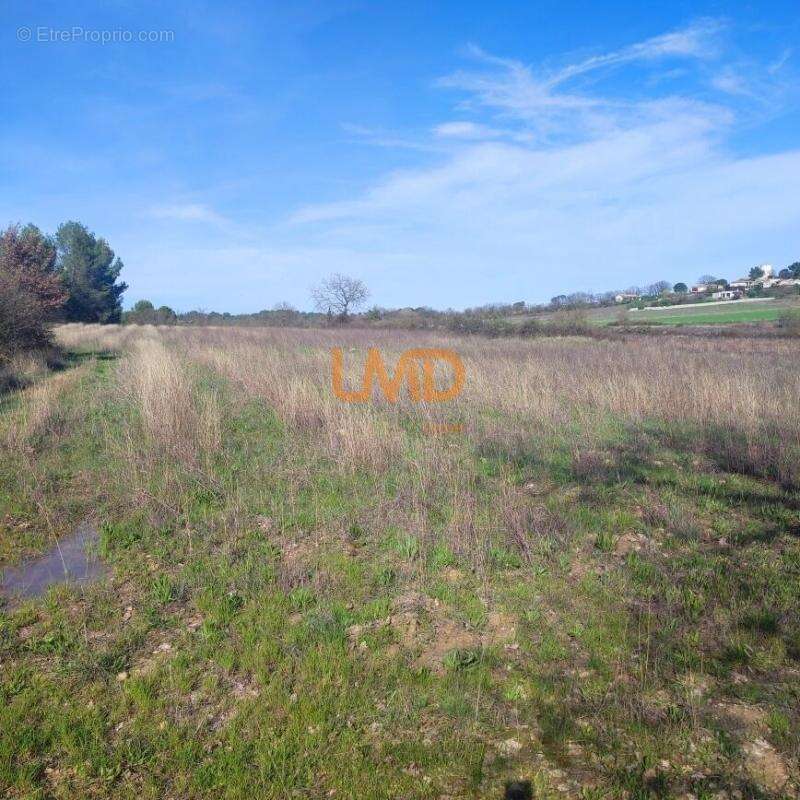 Terrain agricole - plus de 4 hectares - nombreuses possibilités - photo 2