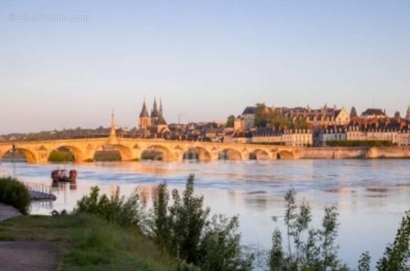 Commerce à BLOIS