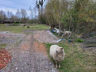 Terrain à ARGOEUVES