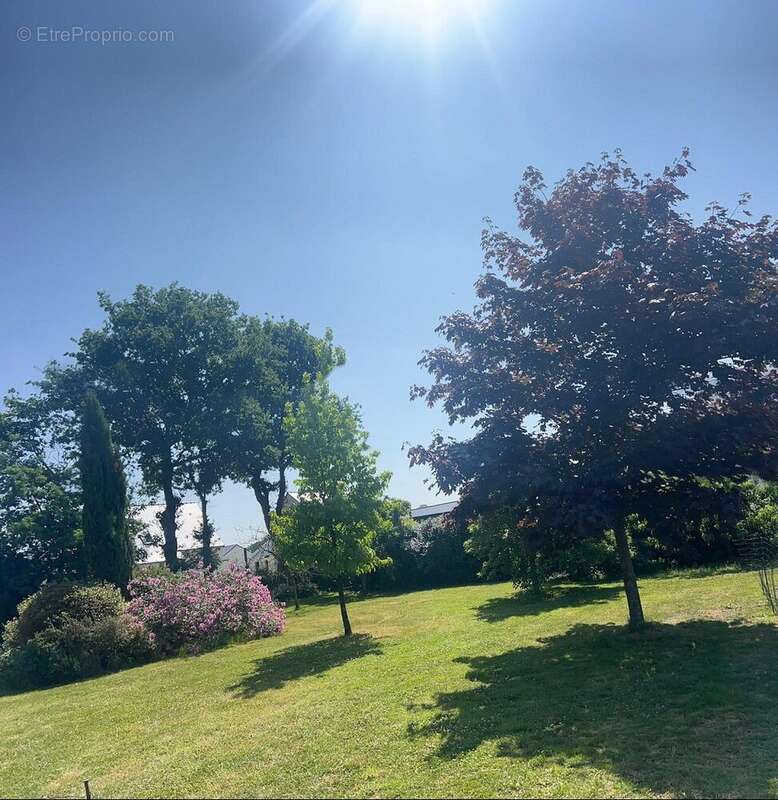 Terrain à VILDE-GUINGALAN