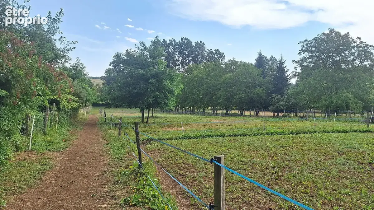 Petite propriété équestre  sur 3800 m² - photo 2