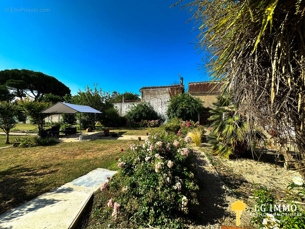 Maison à MESCHERS-SUR-GIRONDE