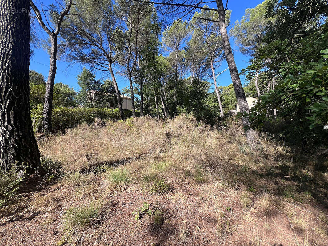 Terrain à GREASQUE