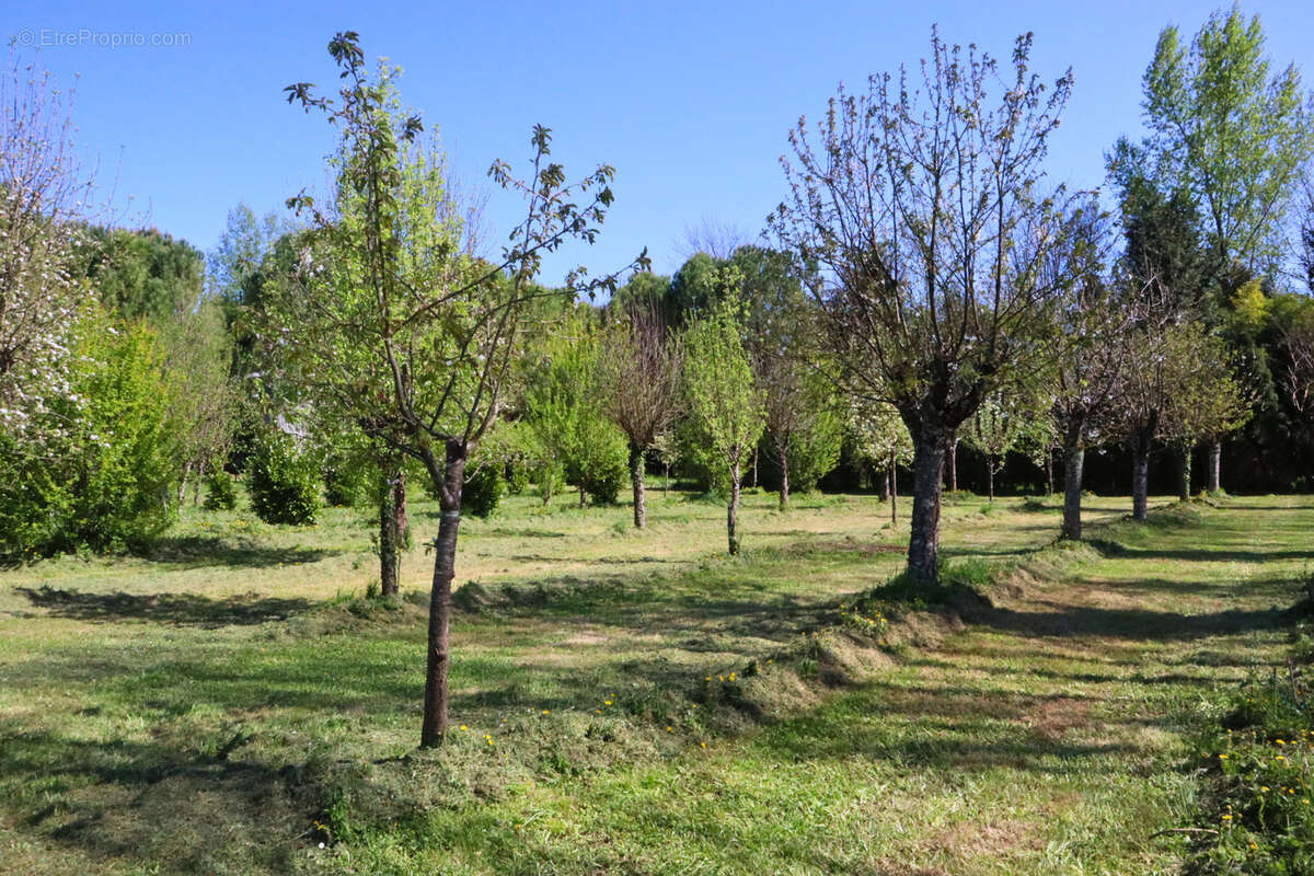 Maison à CHERVES-RICHEMONT