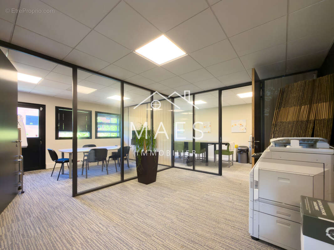 LOOS - Bureau de 215 m2 proche CHU - photo 2