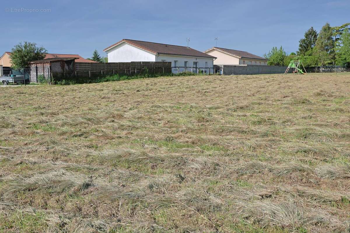 Terrain 1037 m² à Chevroux  - photo 5