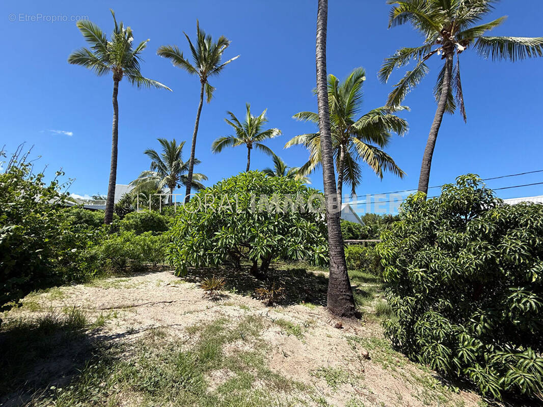 Maison à SAINT-PAUL