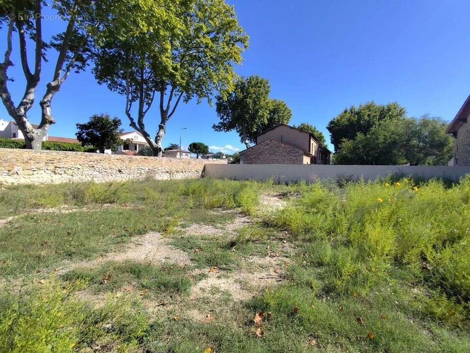 Terrain à JONQUIERES-SAINT-VINCENT