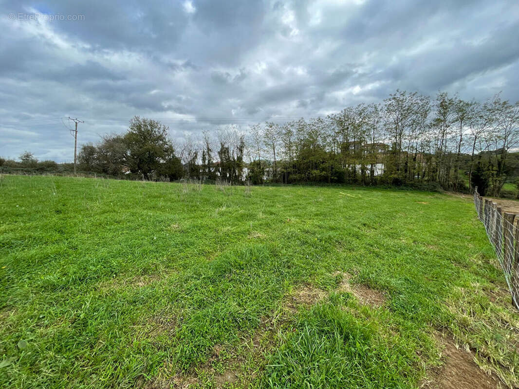 Terrain à HASPARREN