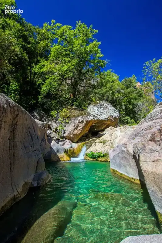 Bastide en pierre sur 1 hectare avec rivière, un lieu unique proche callas - photo 12