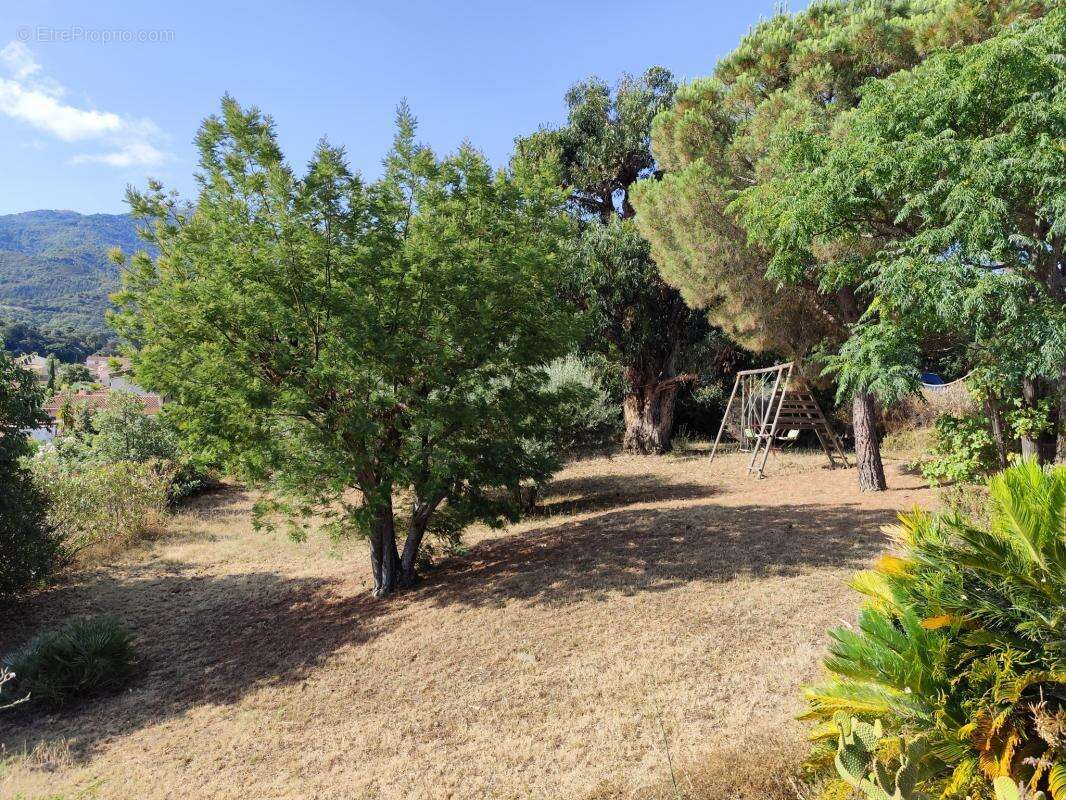 Superbe villa d'architecte avec vue mer et Albères - photo 8
