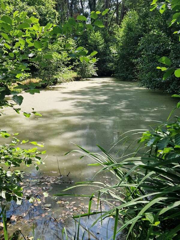 Terrain à PARGNY-FILAIN