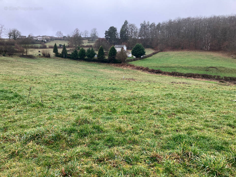Terrain à LACAPELLE-VIESCAMP