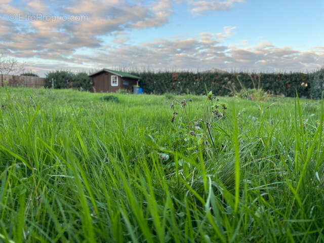 Terrain à TALMONT-SAINT-HILAIRE