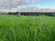 Terrain à TALMONT-SAINT-HILAIRE