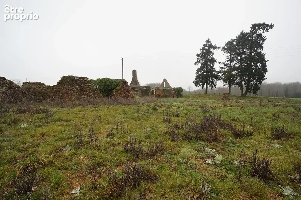 Terrain à MEZIERES-SOUS-LAVARDIN