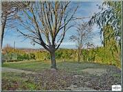 Terrain à BEAUMONT-LES-VALENCE