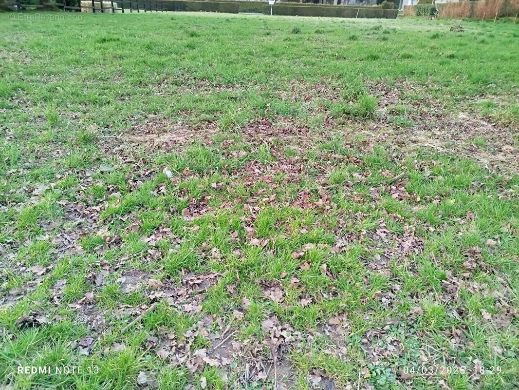 Terrain à SAINT-BRICE-EN-COGLES