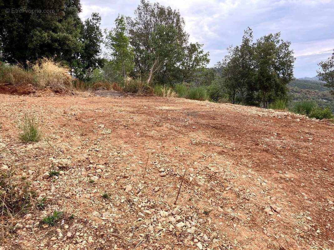 Terrain à LE TIGNET