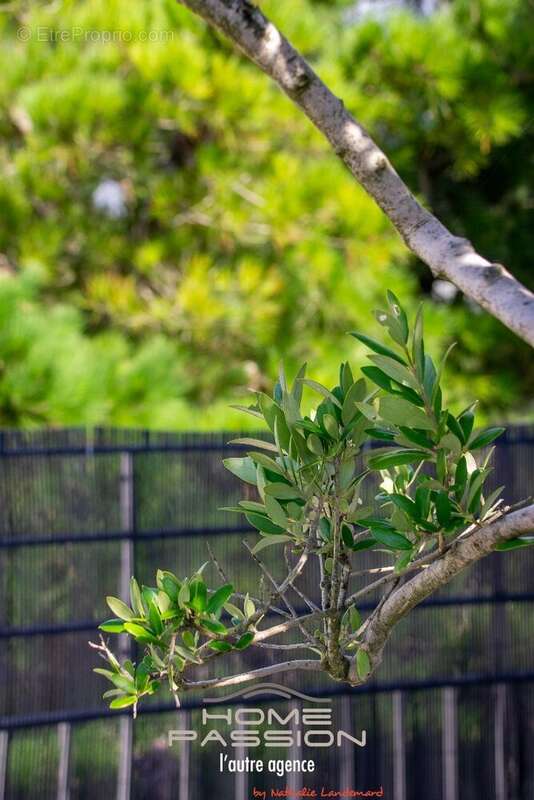 Appartement à ROYAN