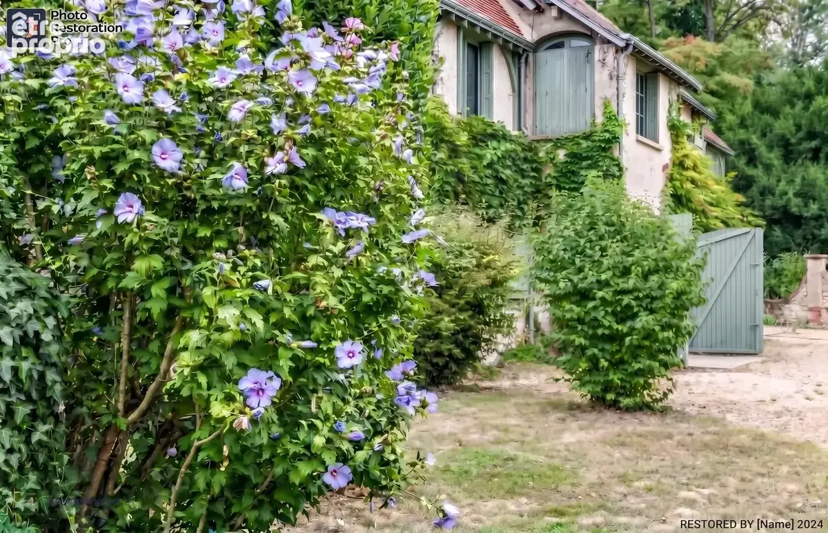La croix en touraine - photo 11