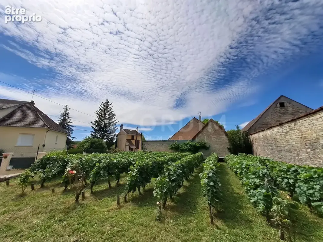 Propriété à Vermenton - photo 4