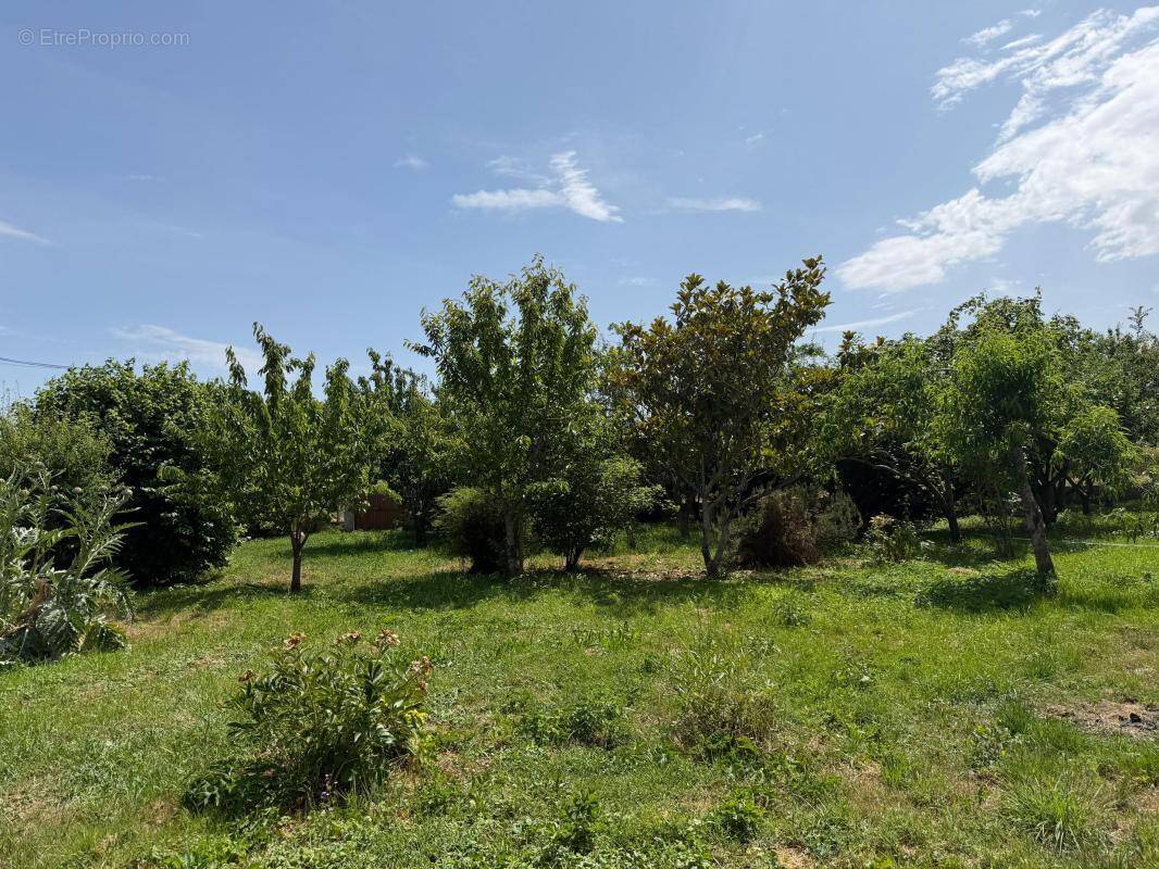 Terrain à SAINT-LUBIN-DE-LA-HAYE