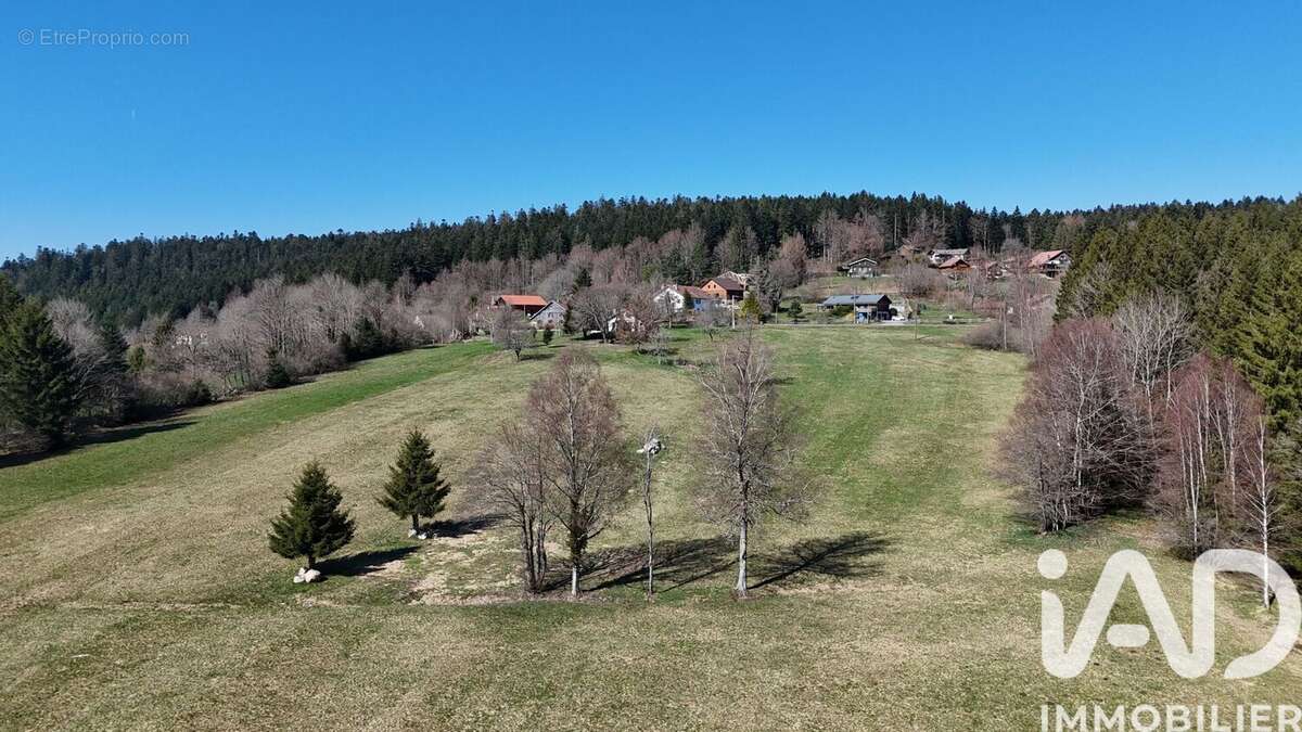 Photo 2 - Terrain à LIEZEY