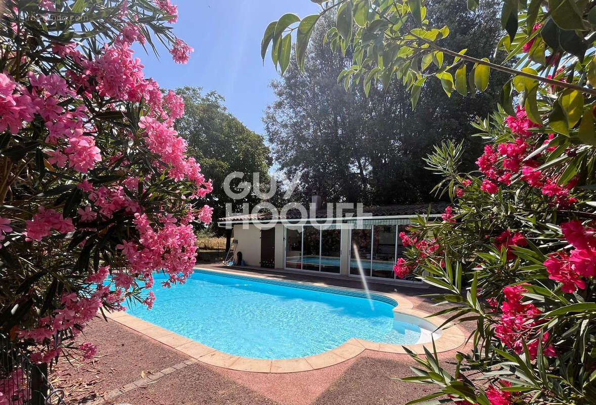 Maison 5 pièces à vendre à Verdun sur Garonne - Réf. 2703 - photo 2