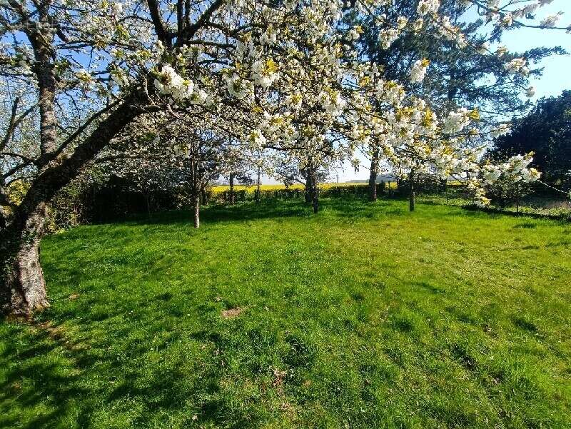 Maison à NONANCOURT