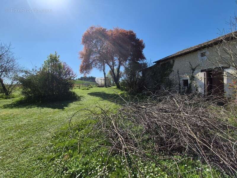Corps de Ferme, écrin de verdure, 250 m2 habitables, 18 000 m2 de terrain, 400 m2 de dépendances, 20 mn Angoulême centre - photo 28