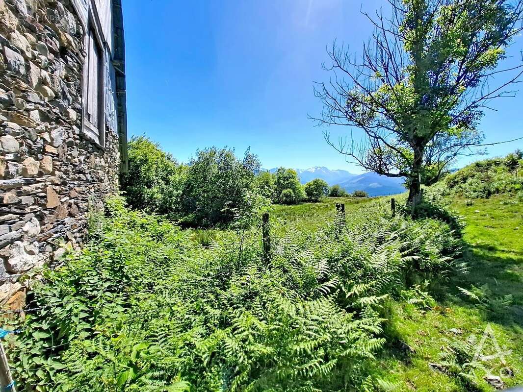 Maison 66 m² à Saint-Pastous  - photo 10