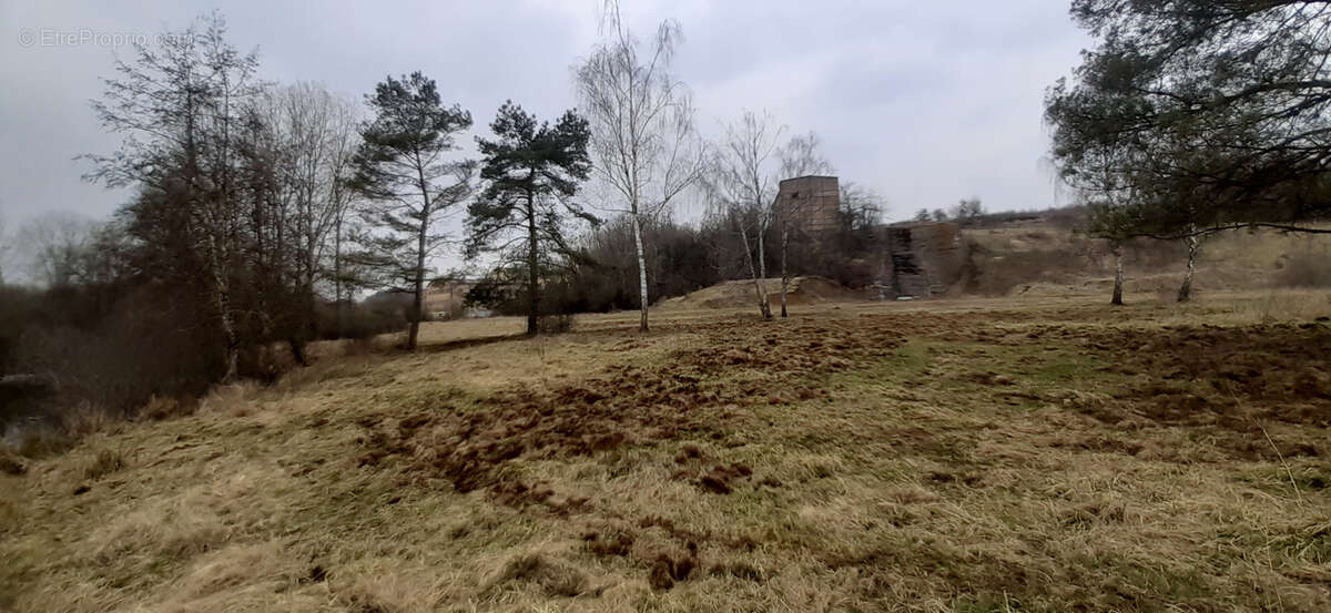 Propriété 50 ha avec chalet, étang, rivière, anciens bâtiments inductriels, prés, bois, terres - photo 9