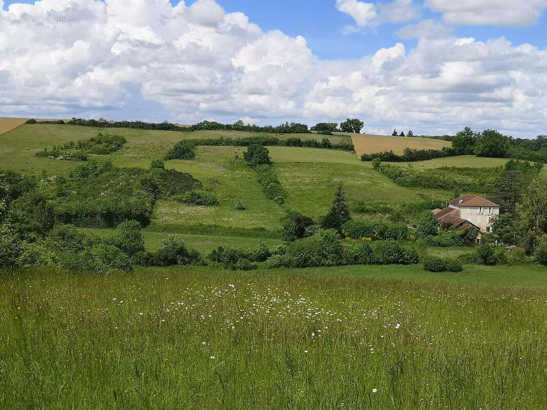 IMG20250504144354 - Maison à VIC-FEZENSAC