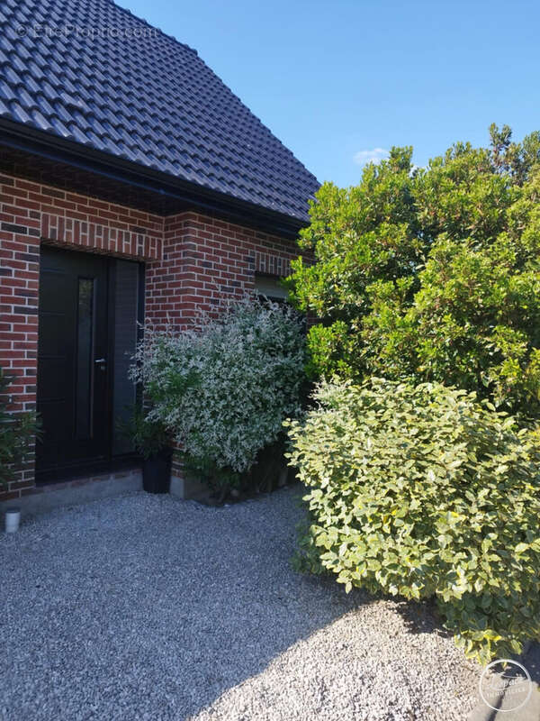 Maison à WARDRECQUES