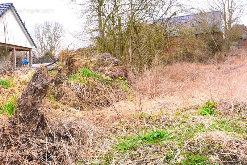 Terrain constructible à vendre  ORSINVAL (59), 414 m² - photo 5