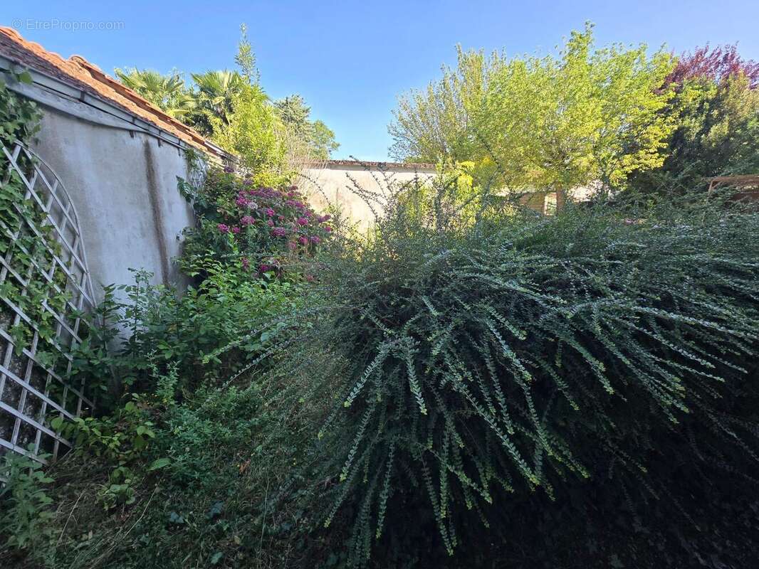 Appartement 63 m² à Saint-Cyr-Sur-Loire  - photo 6