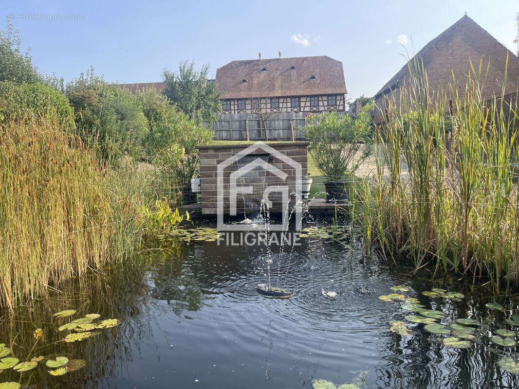 Maison à WILLGOTTHEIM