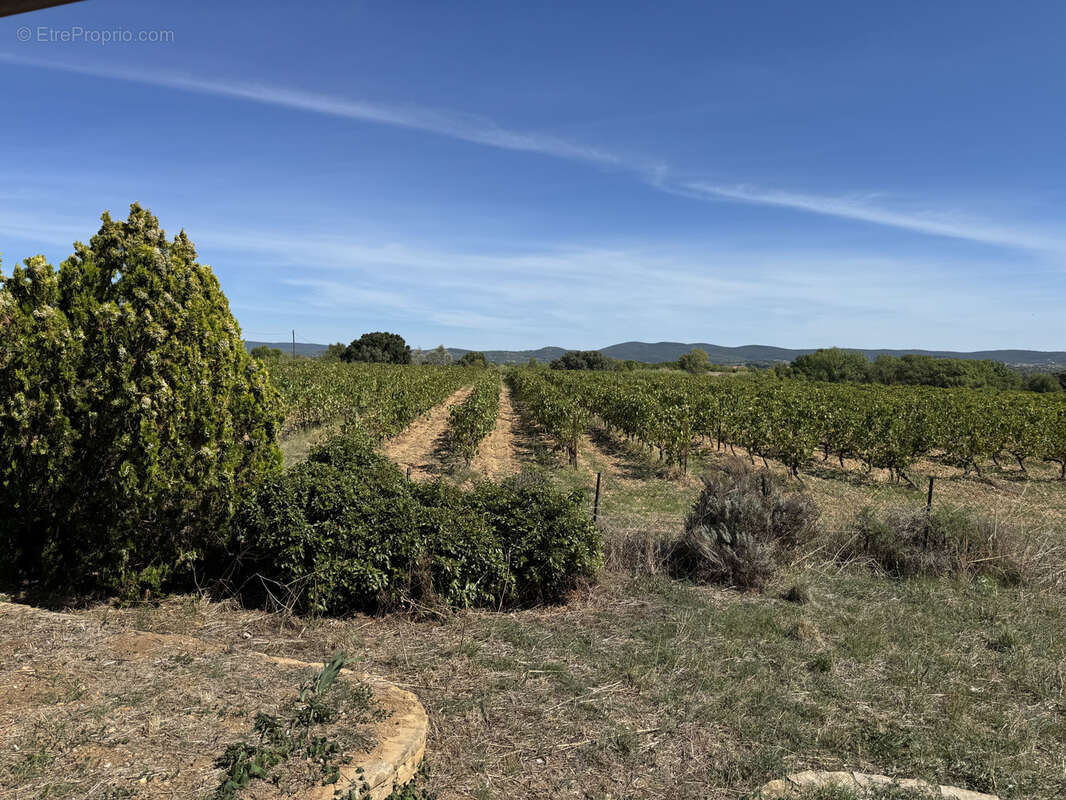 Maison à SAINT-ANDRE-DE-SANGONIS