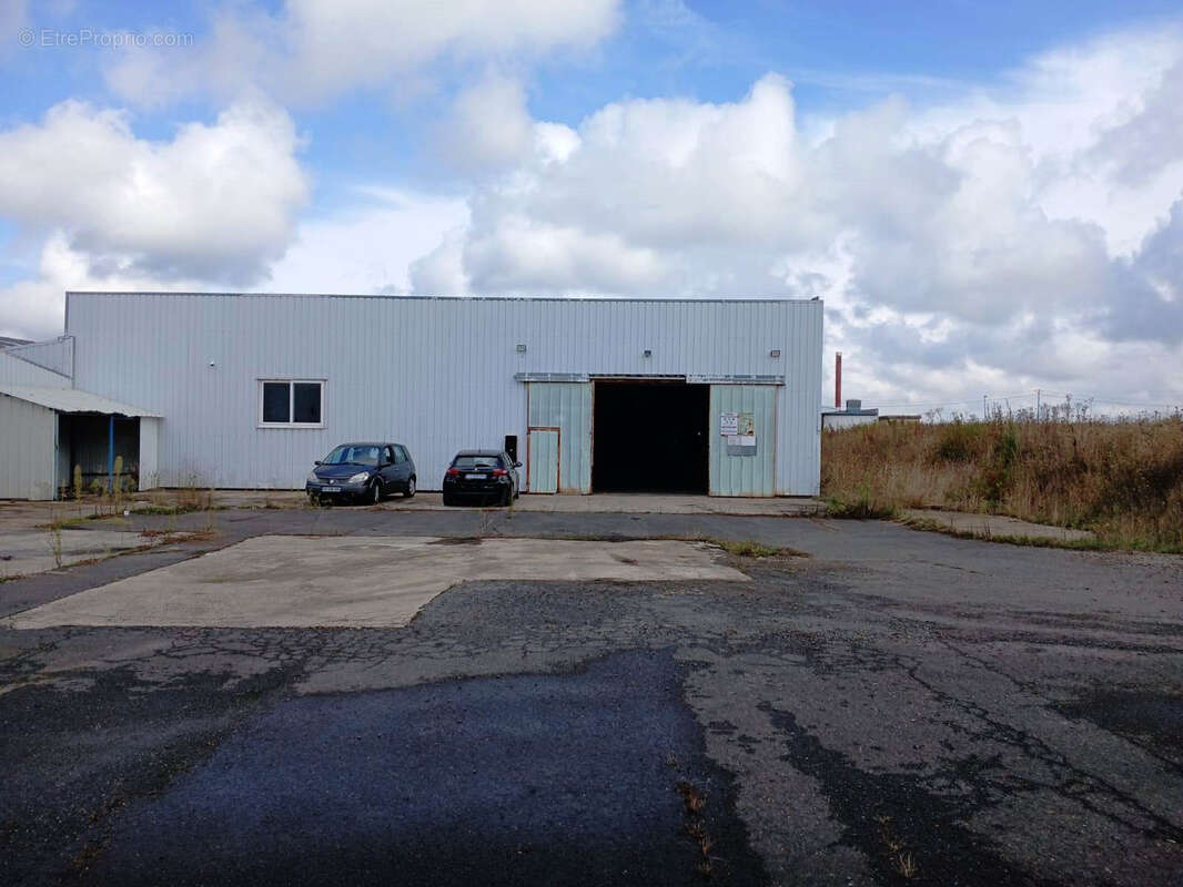 49 Candé, locaux d'activité de 3516 m2 à vendre - photo 3
