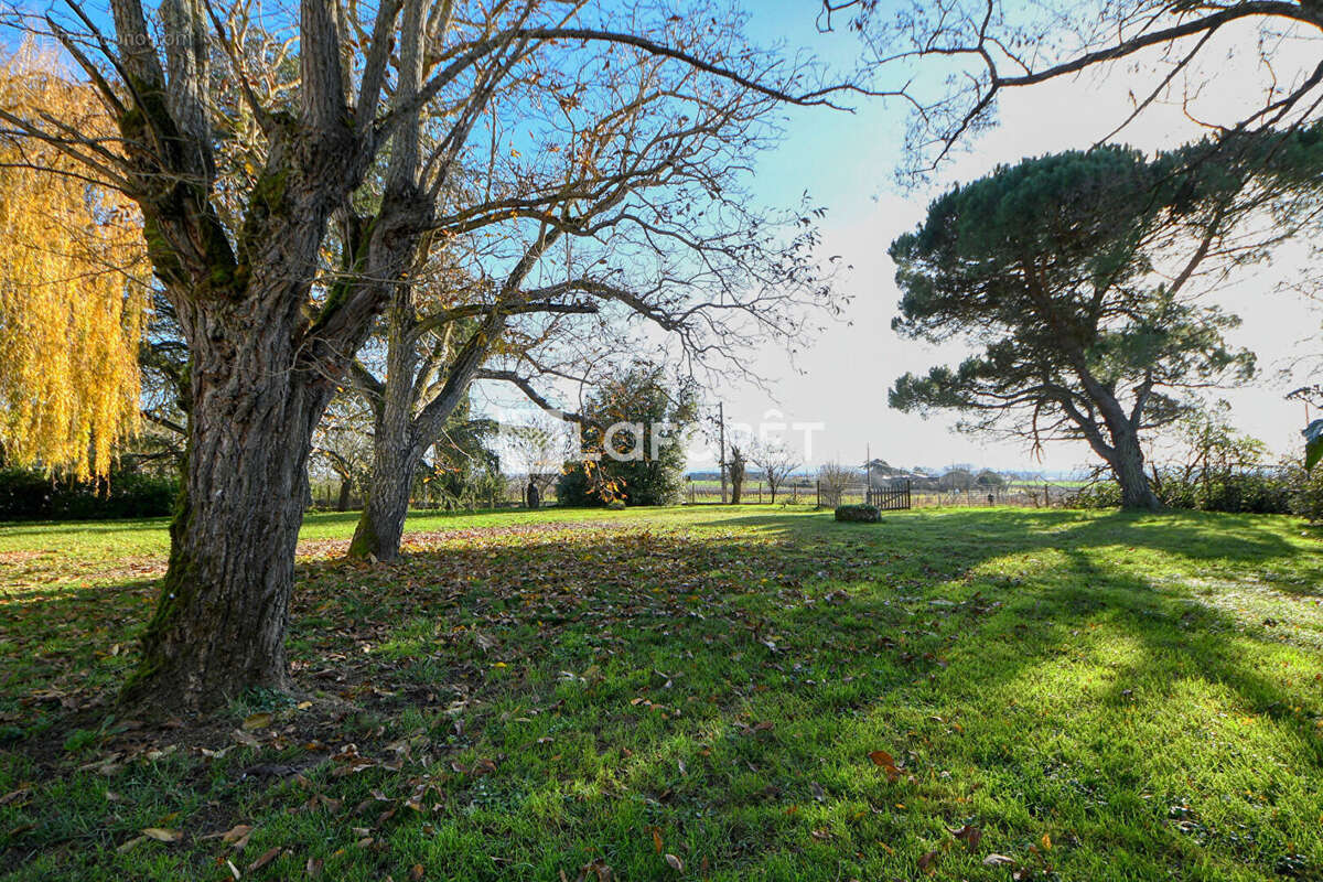 Maison à LISLE-SUR-TARN