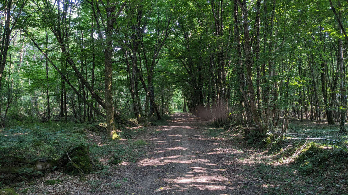 Terrain à USSON-DU-POITOU