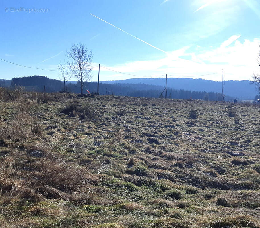 Maison à MONTREGARD